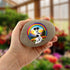 Rainbow Jack Russell Personalised Pebble